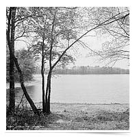 Image of Walden Pond