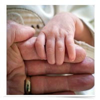 Baby's hand on elderly hand.