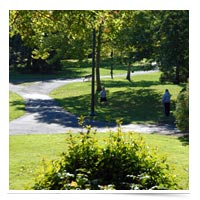 Green space in a park.